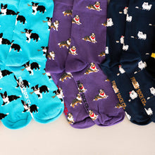 Load image into Gallery viewer, Men's Border Collie Socks