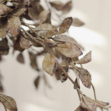 Load image into Gallery viewer, Smoked Eucalyptus Spray