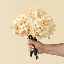 Load image into Gallery viewer, Hydrangea Bouquet