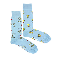 Load image into Gallery viewer, Men's Worlds Best Dad Socks