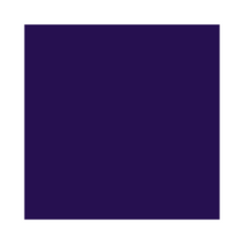 Load image into Gallery viewer, Black Violet Spray Paint - 400ml