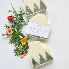 Load image into Gallery viewer, Christmas Tree Farm Soap Bar