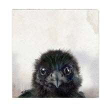 Load image into Gallery viewer, Crow Baby - Medium Art Block