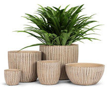 Load image into Gallery viewer, Groove Classic Planter