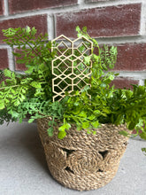 Load image into Gallery viewer, Plant Trellis