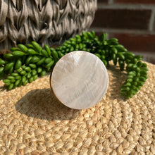 Load image into Gallery viewer, Shell Knob - White