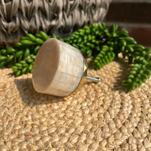 Load image into Gallery viewer, Shell Knob - White