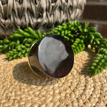 Load image into Gallery viewer, Shell Knob - Black