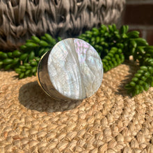 Load image into Gallery viewer, Shell Knob - Abalone