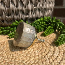 Load image into Gallery viewer, Shell Knob - Abalone