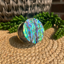 Load image into Gallery viewer, Shell Knob - Blue