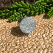 Load image into Gallery viewer, Shell Knob - Abalone