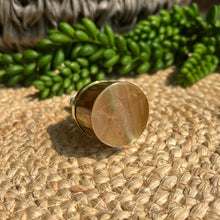 Load image into Gallery viewer, Shell Knob - Rose Gold