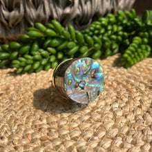 Load image into Gallery viewer, Shell Knob - Blue