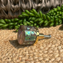 Load image into Gallery viewer, Shell Knob - Blue