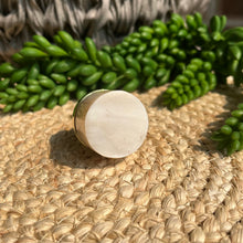 Load image into Gallery viewer, Shell Knob - White