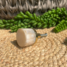Load image into Gallery viewer, Shell Knob - White