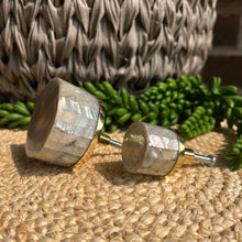 Load image into Gallery viewer, Shell Knob - Abalone