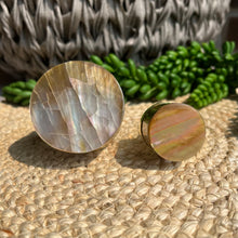 Load image into Gallery viewer, Shell Knob - Rose Gold