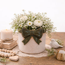 Load image into Gallery viewer, Bow Plater - Beige/Green