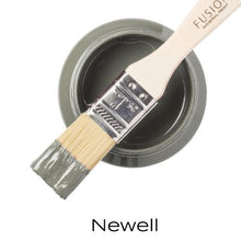 Load image into Gallery viewer, Newell Mineral Paint