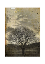 Load image into Gallery viewer, Sepia Tree Decoupage Paper - 11.7" x 16.5"