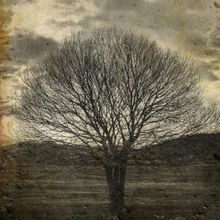 Load image into Gallery viewer, Sepia Tree Decoupage Paper - 11.7" x 16.5"