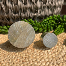 Load image into Gallery viewer, Shell Knob - Abalone