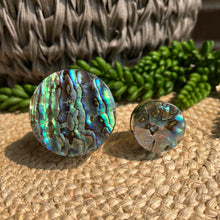 Load image into Gallery viewer, Shell Knob - Blue