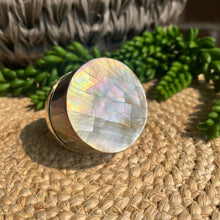 Load image into Gallery viewer, Shell Knob - Rose Gold