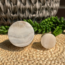 Load image into Gallery viewer, Shell Knob - White