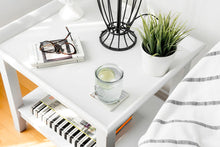 Load image into Gallery viewer, Paint Extender