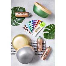 Load image into Gallery viewer, Montana Effect Metallic Spray Paint - Titanium