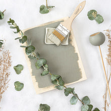 Load image into Gallery viewer, Eucalyptus Mineral Paint