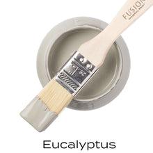 Load image into Gallery viewer, Eucalyptus Mineral Paint