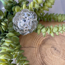 Load image into Gallery viewer, Water Rose Glass Knob, Gold Cap