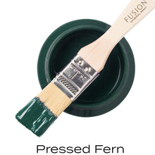 Load image into Gallery viewer, Pressed Fern Mineral Paint