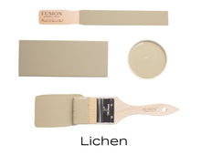 Load image into Gallery viewer, Lichen Mineral Paint