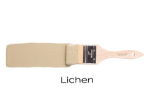 Load image into Gallery viewer, Lichen Mineral Paint