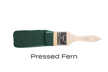 Load image into Gallery viewer, Pressed Fern Mineral Paint