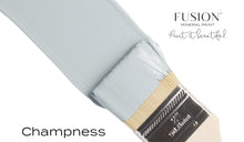 Load image into Gallery viewer, Champness Mineral Paint