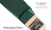 Load image into Gallery viewer, Pressed Fern Mineral Paint