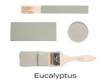 Load image into Gallery viewer, Eucalyptus Mineral Paint