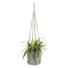 Load image into Gallery viewer, Plant Hanger with Beads - 34&quot;
