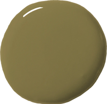 Load image into Gallery viewer, Olive Wall Paint - 4oz
