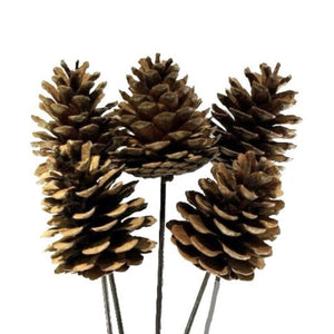 Pinecone On Stem - Natural
