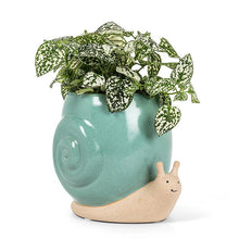 Load image into Gallery viewer, Tall Snail Planter
