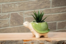 Load image into Gallery viewer, Small Turtle Planter
