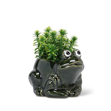 Load image into Gallery viewer, Small Crouched Frog Planter
