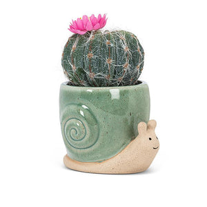 Crawling Snail Planter